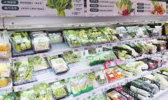 ”国杰研究院村落复兴项目部秘书长、天津恒嘉